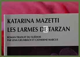 Photo de r&eacute;f&eacute;rence 1